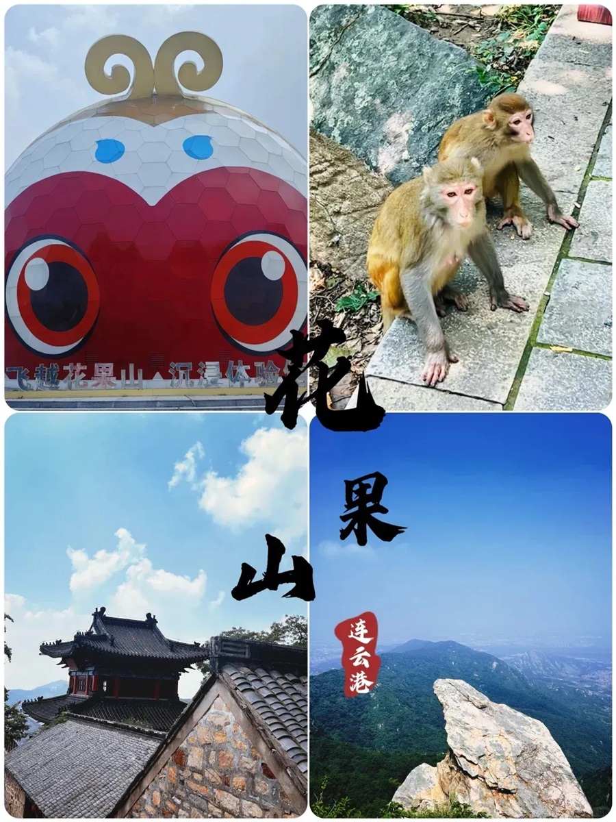 [心系连云港] 网红羊山岛+东西连岛+海州湾海底世界三日游