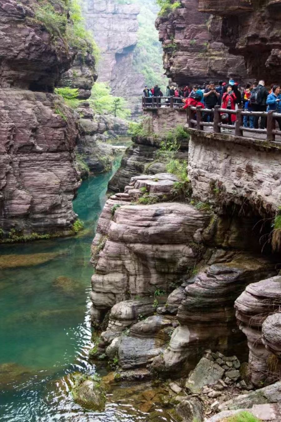 【全景河南】少林寺洛邑古城+老君山+开封+云台山+万仙山郭亮村 7 日游