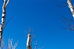 在郑州跟着散客旅游团到新疆旅游必读，读完一切都明白了